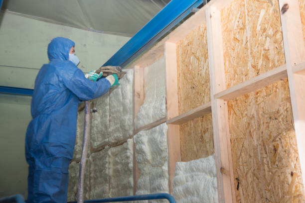 Insulation Repair Services in Borden, IN